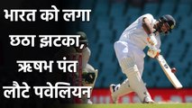 India vs Australia 4th Test Day 3: Rishabh Pant falls, India in trouble at Gabba | वनइंडिया हिंदी