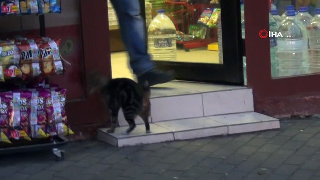 Soğuk havada iç ısıtan görüntü...Marketin önünde bekleyen kediye süt getirdi