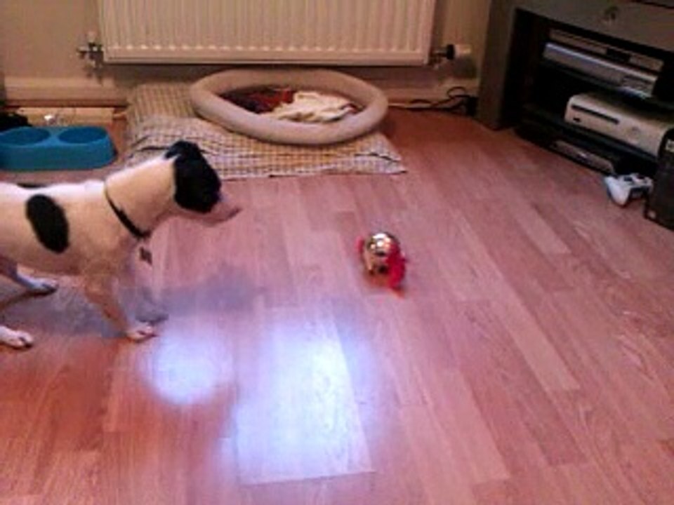 Pip Vs. The Bauble Of Evil