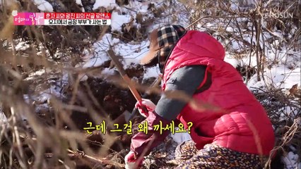 부부가 직접 채취 한 ‘한방약재’들 TV CHOSUN 20210117 방송