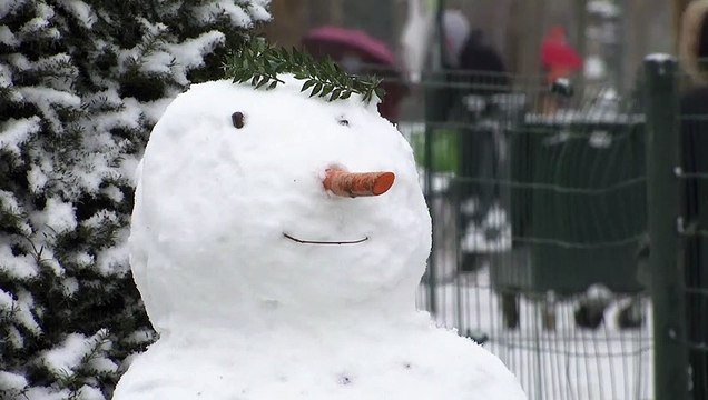 Обильные снегопады в Европе