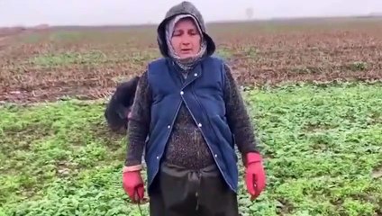 Çiftçi Meliha Atay isyan etti: Sesimizi duymuyorsun Cumhurbaşkanım, bittik biz