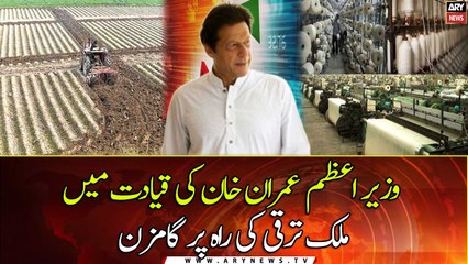 Pakistan is on the path of development under the leadership of PM Imran Khan