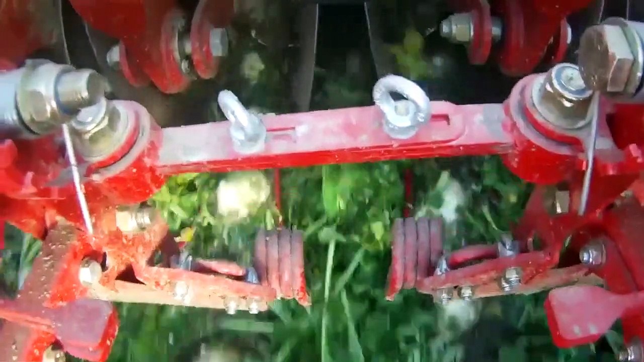 Dev Şeker Pancarı Sökme Makinası