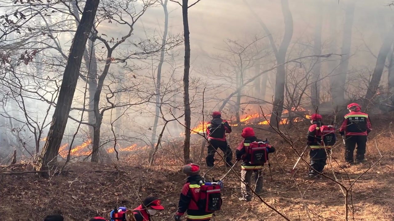 강원도 동해에서 산불...1시간여 만에 주불 진화 / YTN