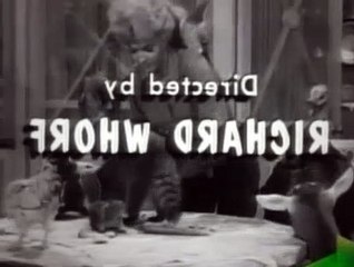 The Beverly Hillbillies Season 2 Episode 19 The Race For Queen