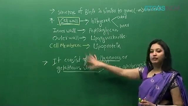Copy of Copy of 2 Biological Clasification by sb mam_2 Biological classification sb mam part 9