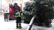 Karın ağırlığına dayanamayan ağaç araçların üzerine devrildi