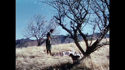 David and Bathsheba 1951