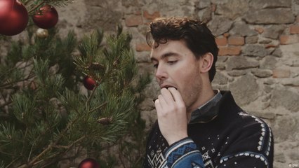 هل يمكن أكل شجرة عيد الميلاد؟