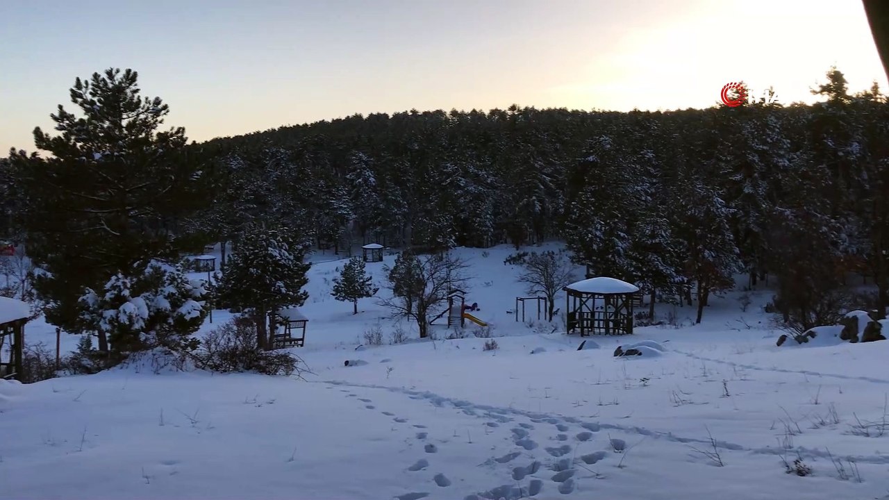 Beyaza boyanan doğa harikası yaylada çamların güzelliği mest etti