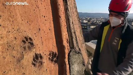 Флорентийский собор хранит исторические отпечатки лап