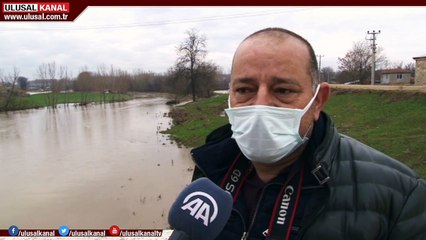 Tunca Nehri'nde su maymunları görüldü