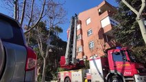 El 40%  de los árboles de Madrid afectados por la nevada: los bomberos trabajan a destajo para asegurarlos