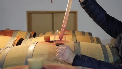 De las cálidas tierras mediterráneas de Croacia a la mesa del líder del mundo en Washington