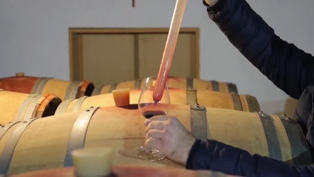 De las cálidas tierras mediterráneas de Croacia a la mesa del líder del mundo en Washington