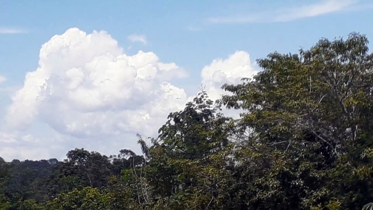 Boeing 737-400 PR-SDV na aproximação final antes de pousar em Manaus vindo de Belém do Pará