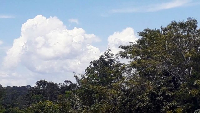 Boeing 737-400 PR-SDV na aproximação final antes de pousar em Manaus vindo de Belém do Pará
