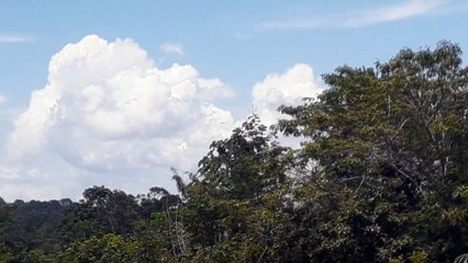Boeing 737-400 PR-SDV na aproximação final antes de pousar em Manaus vindo de Belém do Pará