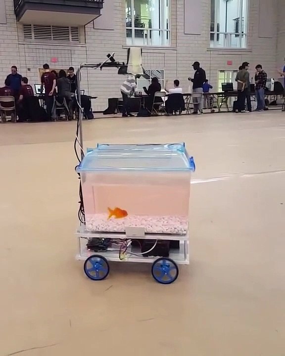 Poisson rouge mobile... Il fait bouger son aquarium