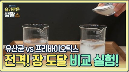 [전격 실험] 유산균 vs 프리바이오틱스 장 도달 비교 실험!