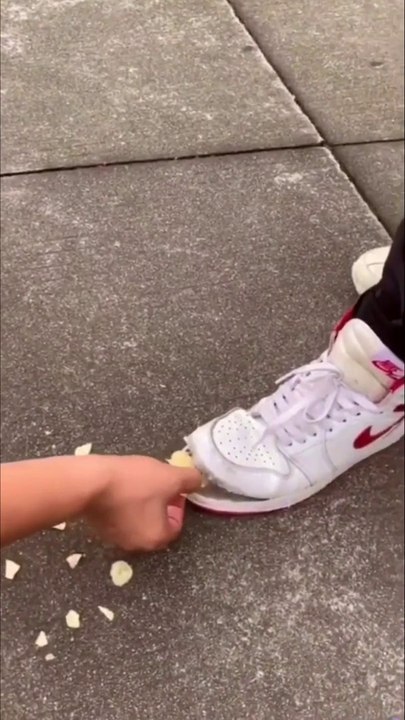 040. Feeding a shoe Pet - Funny Dailymotion Video