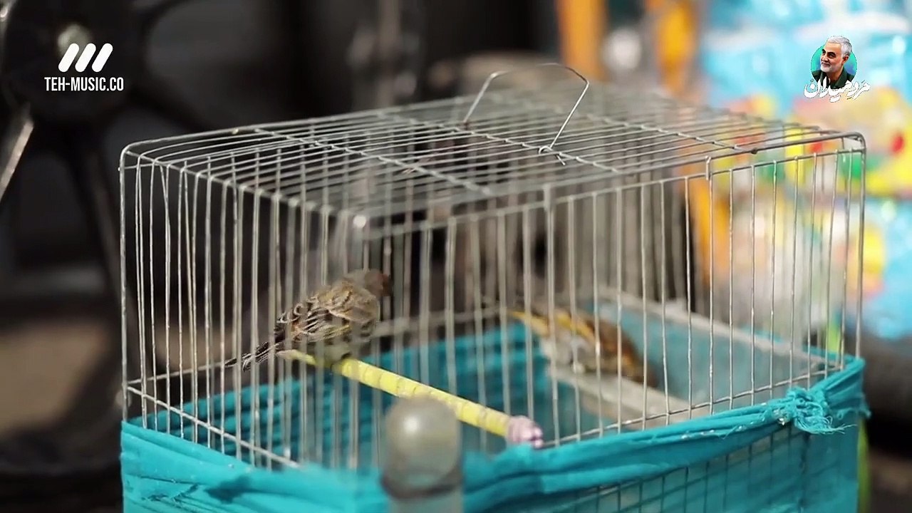 Ba Khaneman E01 - سریال با خانمان