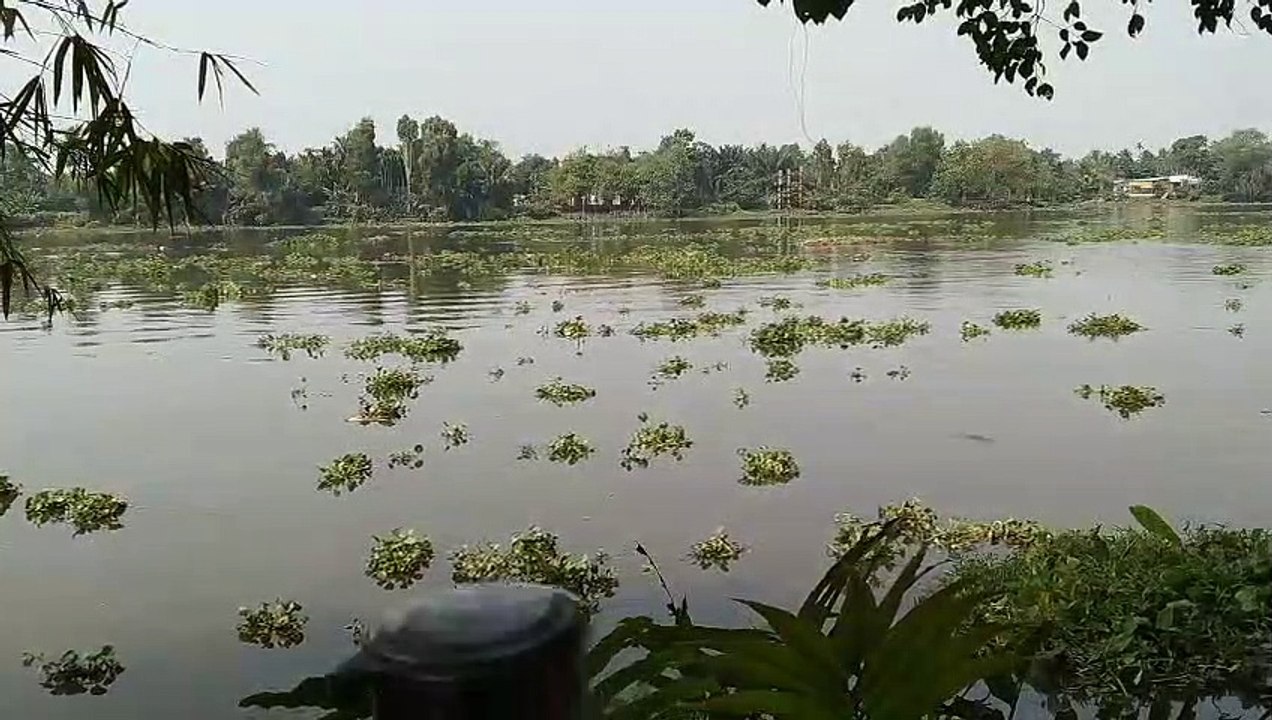 my country river