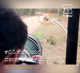 Actor Darshan Captures A Tiger Through His Lens