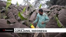 Endonezyalılar, Merapi Yanardağı'nın püskürttüğü külleri temizliyor