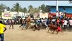 Cop injured after Jallikattu bull throws him into air in TN's Vellore