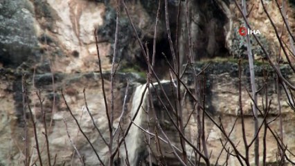 Sağanak yağış ile Kişnikar Şelalesi aktı, Tağar Çayı coştu