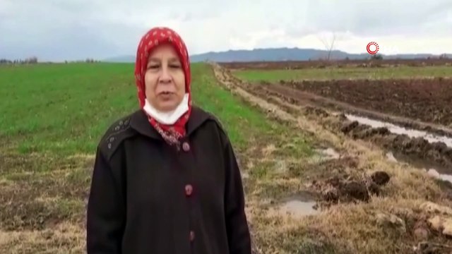 Kendi imkanıyla kurduğu serada organik domates yetiştiriyor