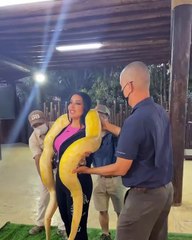 سمية الخشاب تضع ثعبان ضخم على أكتافها