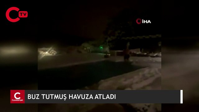 O anlar saniye saniye kamerada: buz tutmuş havuza atladı