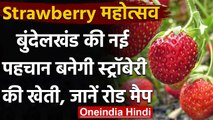 Uttar Pradesh: Jhansi में दूर होगी किसानों की बदहाली, नई पहचान दिलाएगी 'Strawberry' । वनइंडिया हिंदी