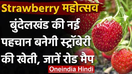 Uttar Pradesh: Jhansi में दूर होगी किसानों की बदहाली, नई पहचान दिलाएगी 'Strawberry' । वनइंडिया हिंदी