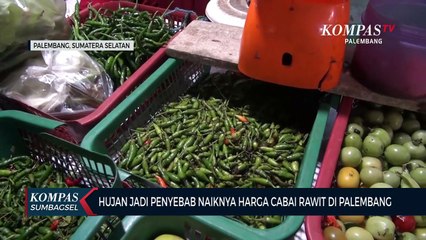 Hujan Jadi Penyebab Naiknya Harga Cabai Rawit Di Palembang
