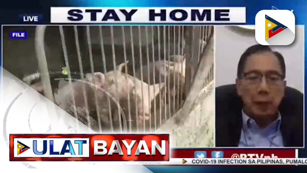#UlatBayan | Dept. of Agriculture, nagsusumikap maibalik ang dating presyo ng baboy sa merkado; mas mataas na pork importation, pinag-aaralan na