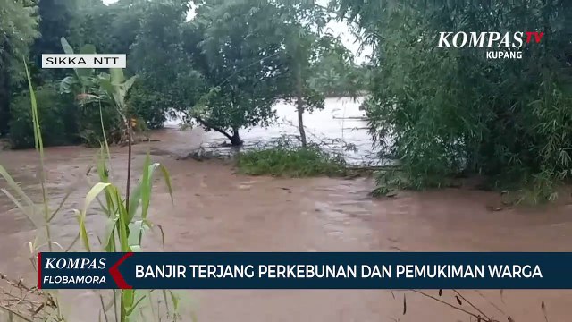Banjir Terjang Perkebunan Dan Pemukiman Warga