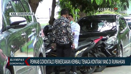 Pemkab Gorontalo Perkerjakan Kembali Tenaga Kontrak Yang Di Rumahkan