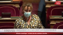 Pollution numérique : le Sénat vote des solutions concrètes - Les matins du Sénat (18/01/2021)