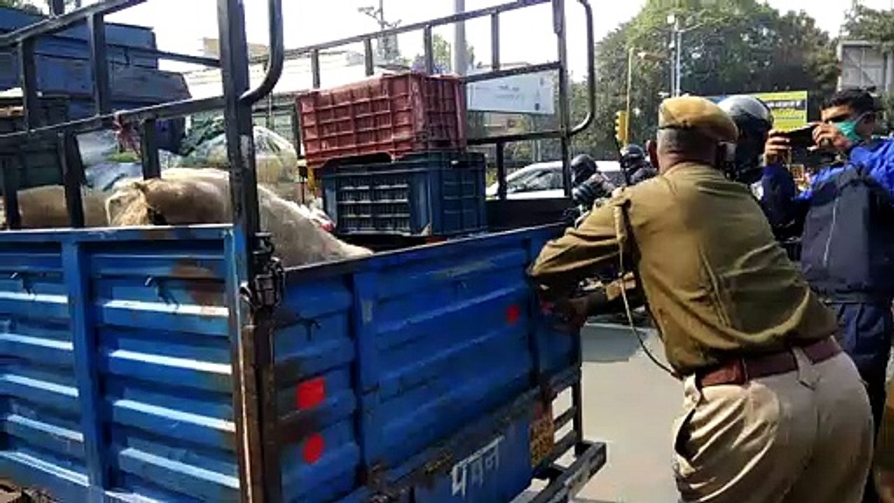 राष्ट्रीय सडक़ सुरक्षा माह का यातायात पुलिस ने किया आगाज...