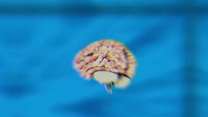 SUPER MEMORIA PARA Estudar e Memorizar- Reprogramação Subliminar