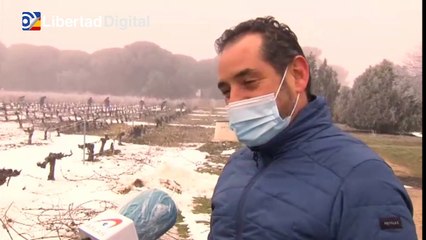 La nieve acumulada en los viñedos españoles presagia una excelente cosecha en 2021