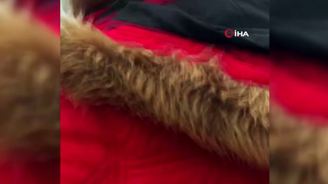 Bartın'daki gemi faciasında bulunan cesedin gemi kaptanı olduğu ortaya çıktı