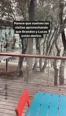 Jessica Bueno recibe una visita muy incómoda en su jardín natural ¡CIERVOS!