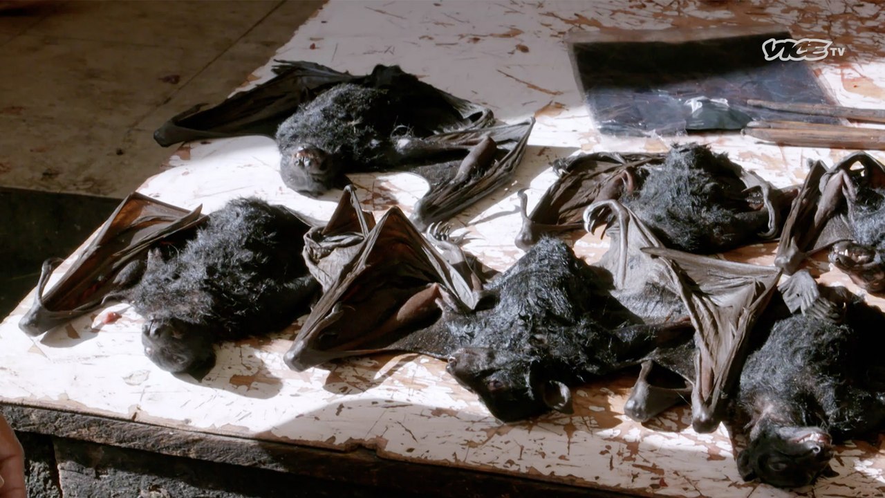 WET MARKETS EXPOSED : Trailer