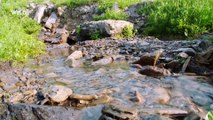 S01E06 Glories of Glacier National Park