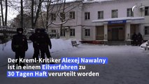 30 Tage Haft für Nawalny – Kreml-Kritiker ruft zu Protesten auf